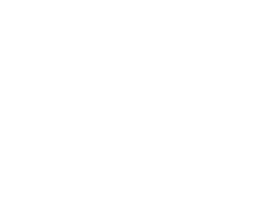 The altnoy